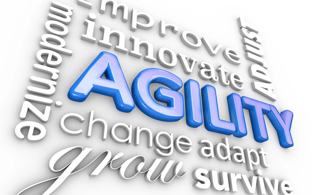 #25 – Agile Leadership: Navigating Change and Embracing Innovation