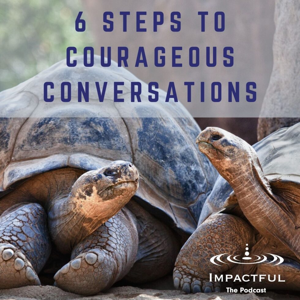 #6 - 6 Steps To Courageous Conversations - Business HorsePower