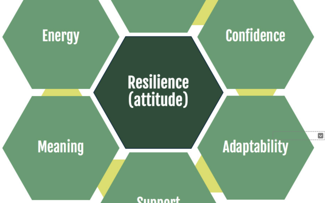 #42 – The Resilience Factor: Thriving Through Challenges